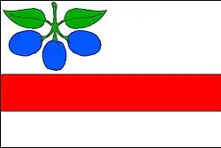 Drapeau de Horní Slivno