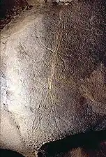 Gravure gravettienne.