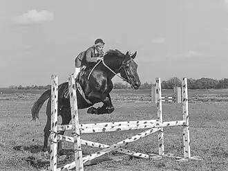 Possible Selle ukrainien à Zaporijjia, en Ukraine en 1988.