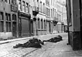 Dans la rue d'une ville de Belgique, des chevaux morts suite à bombardement aérien.