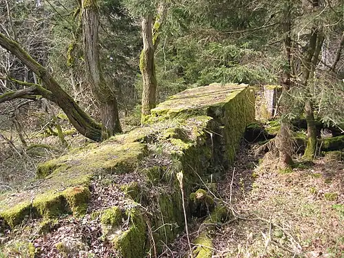 Ruines de l'un des mémoriaux Horst-Wessel&nbsp;(de), celui-ci dans le massif du Süntel, près de Hanovre (2008).