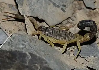 Description de cette image, également commentée ci-après