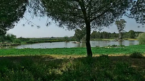 Cañada de los Pájaros