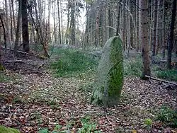 Image illustrative de l’article Hunnenstein (Niederdossenbach)