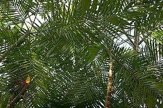 Description de cette image, également commentée ci-après