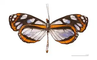 Description de cette image, également commentée ci-après