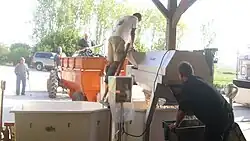 Réception de la vendange en rouge (éraflage).