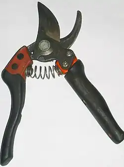 Photographie montrant un viticulteur taillant une vigne, assis sur un tabouret à roulette.