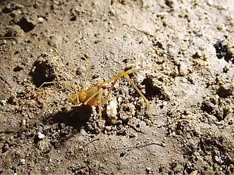 Description de cette image, également commentée ci-après