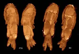 Description de cette image, également commentée ci-après