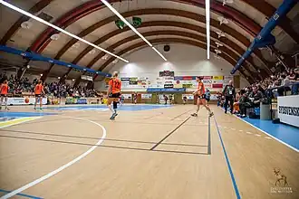 Rencontre de handball féminin en 2017.