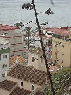 Église de La Rabita