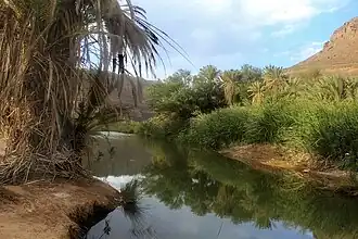 La vallée d’Iherir