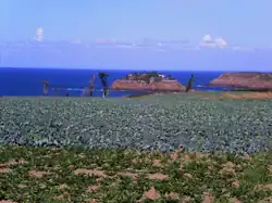L'île du Guesclin, vue des terres