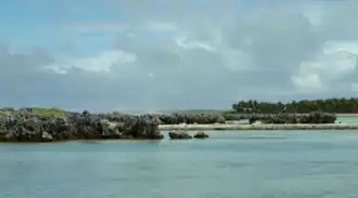 Île aux récifs à Rangiroa.