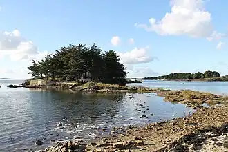 Île de Béchit vue de la presqu'île de la Villeneuve.