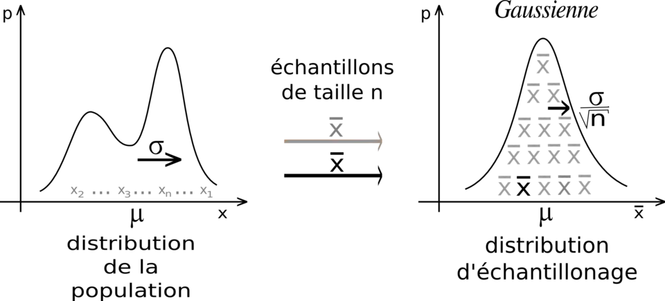 alternative textuelle