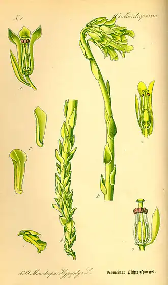 Description de cette image, également commentée ci-après