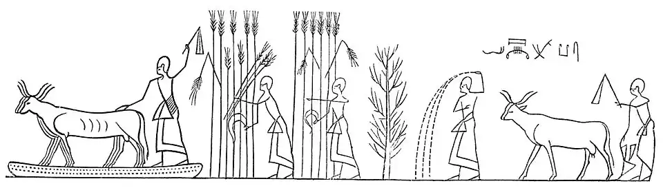 image en noir et blanc