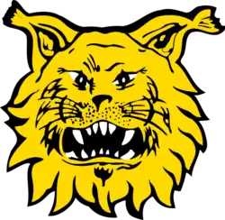 Logo du Ilves