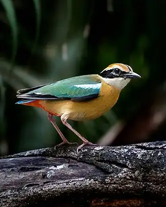 Description de cette image, également commentée ci-après