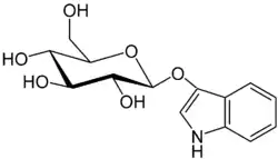 Image illustrative de l’article Indican