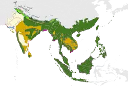 écozone Indomalasie