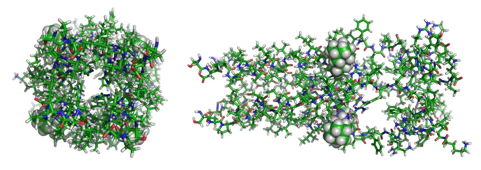 Protéine M2 du virus de la grippe A complexée avec la rimantadine (PDB&nbsp;2RLF)