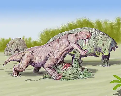 Restitution par D. Bogdanov d’un Inostrancevia alexandri attaquant un Scutosaurus juvénile.