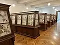 La collection d'insectes