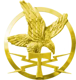 Insigne de bérét des unités de Guerre Eletronique depuis 2020