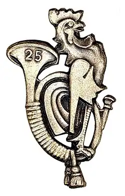 Image illustrative de l’article 25e bataillon de chasseurs alpins