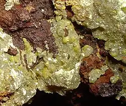 Image illustrative de l’article Iodargyrite