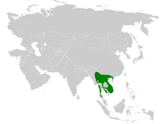 Description de l'image Iole propinqua distribution map.png.