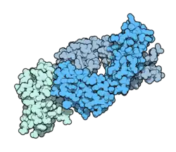Image illustrative de l’article Ipilimumab