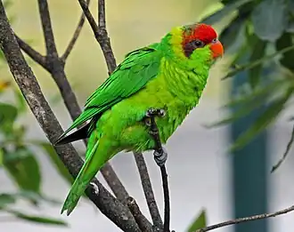 Description de cette image, également commentée ci-après