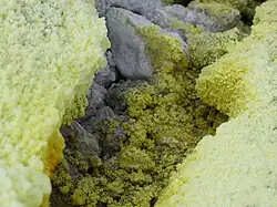 Cristaux de soufre formés dans le cratère.