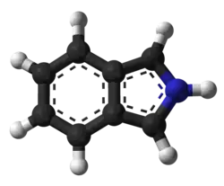 Image illustrative de l’article Isoindole