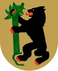 Blason de Isokyrö