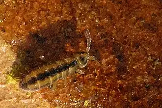 Description de cette image, également commentée ci-après