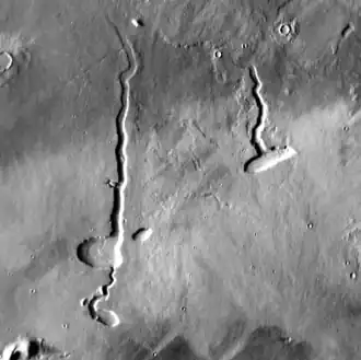 Image illustrative de l'article Issedon Paterae