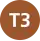(T3)