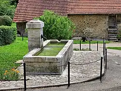 La fontaine-abreuvoir.