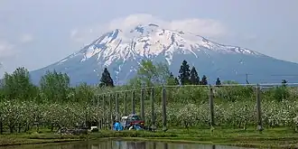 Vue du mont Iwaki derrière une pommeraie.