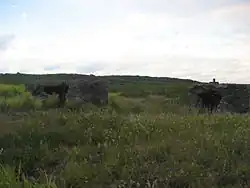 Quelques bunkers restant de la Seconde Guerre mondiale.