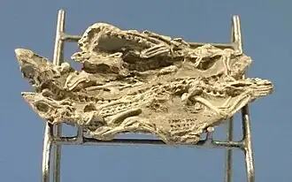 Description de cette image, également commentée ci-après