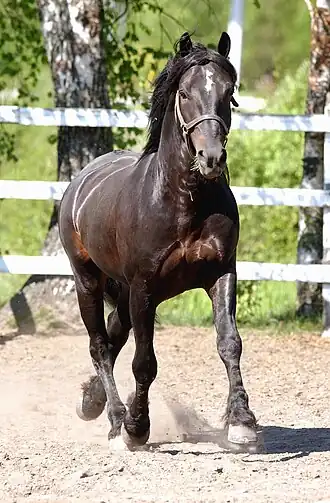 Image illustrative de l’article Järvsöfaks