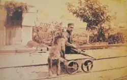 Le babouin chacma Jack pousse James Wide sur un chariot roulant sur des rails de chemin de fer.