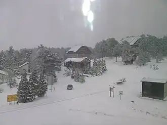 Jagoštica