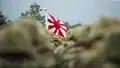 Un drapeau des Forces japonaises d'autodéfense.
